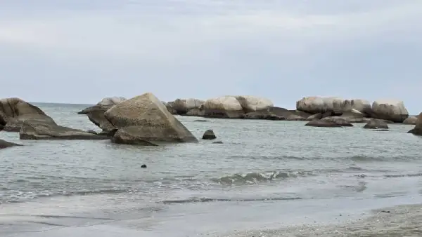 sutra seaview (2)